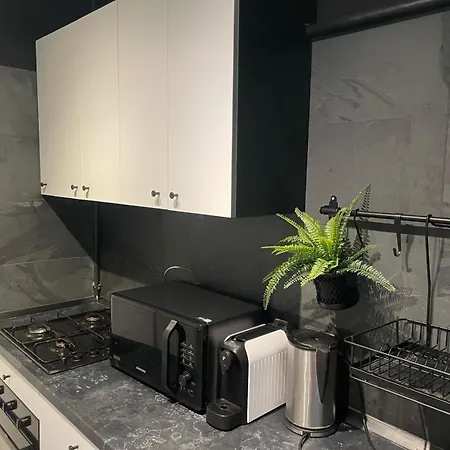 アパート Center 1 Bdrm With Terrace *