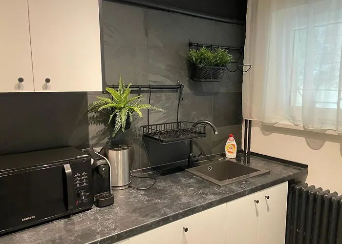 Apartment Center 1 Bdrm With Terrace *