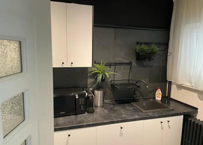 Center 1 Bdrm With Terrace Appartement *
